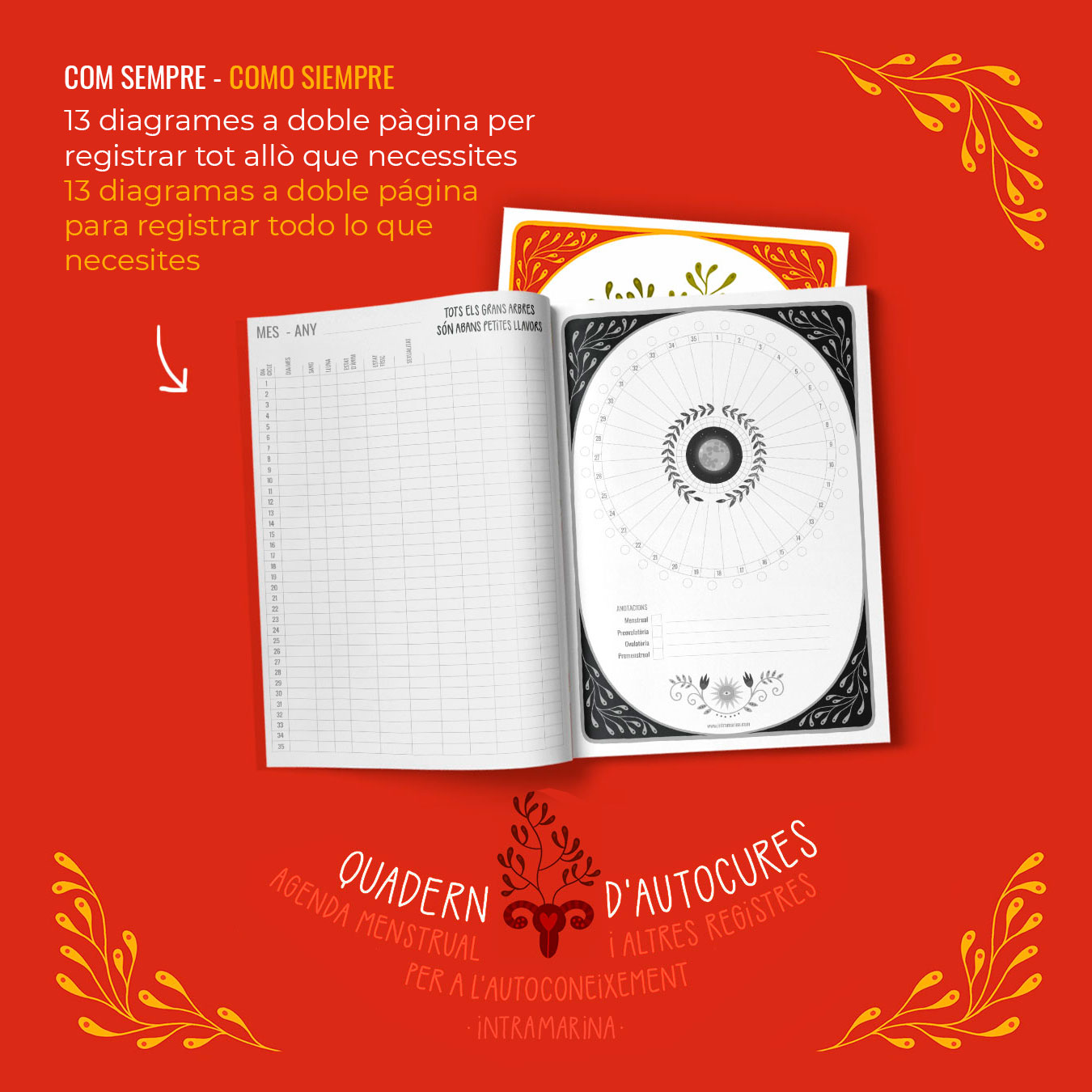 Quadern d'autocures 2025 - Imagen 5