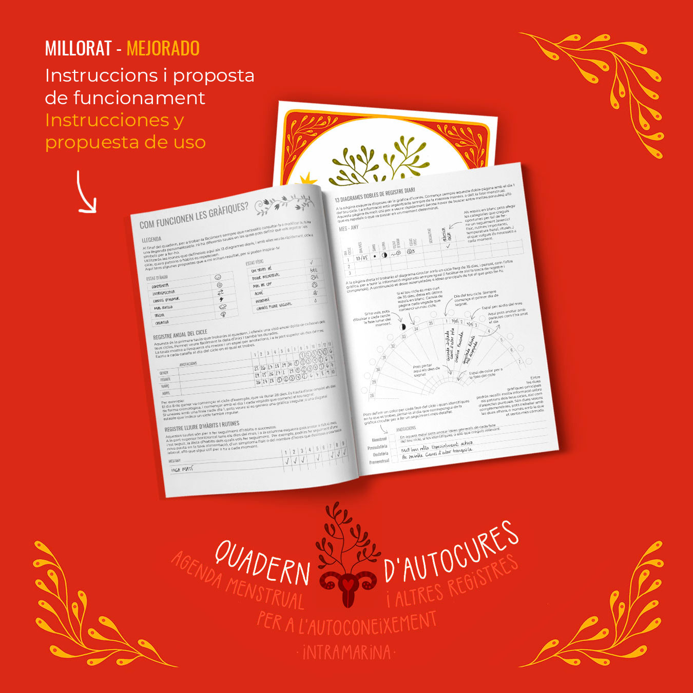 Quadern d'autocures 2025 - Imagen 3